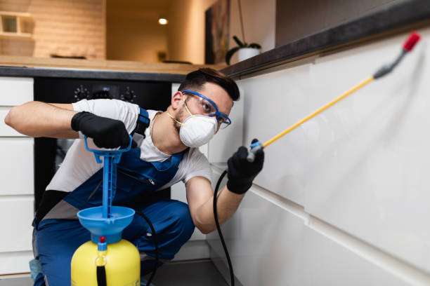Reliable Oakwood, GA Pest Control Solutions
