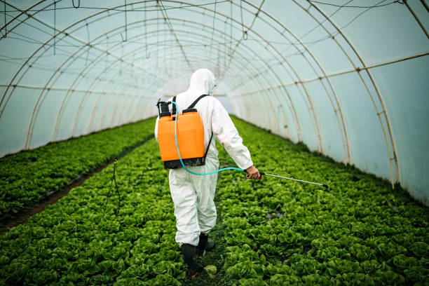 Best Mosquito Control Services  in Oakwood, GA