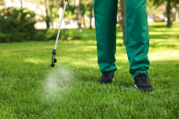 Best Emergency Pest Control  in Oakwood, GA