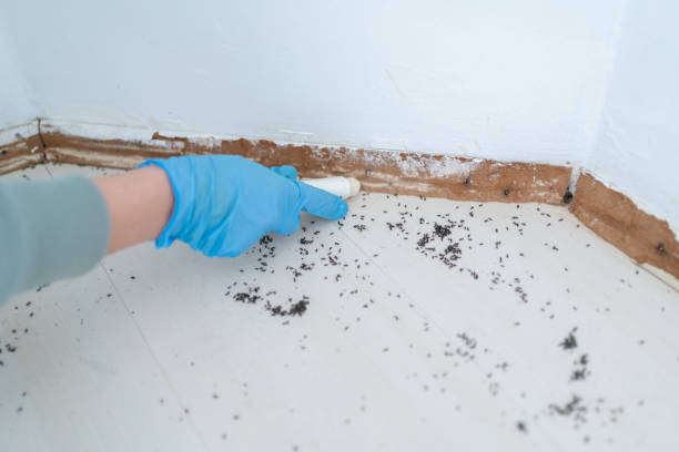 Best Pest Removal Services  in Oakwood, GA