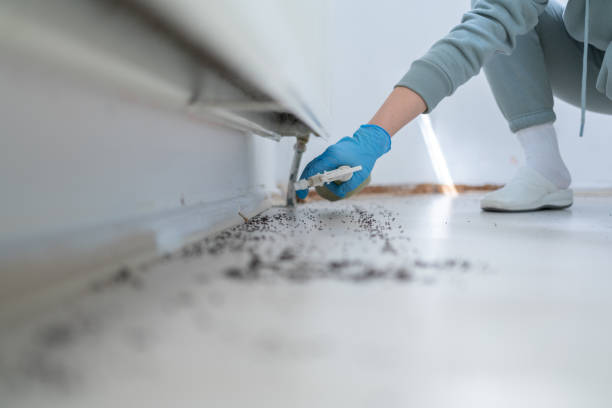 Best Residential Pest Control  in Oakwood, GA