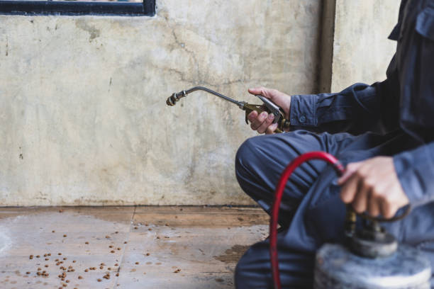 Best Pest Control for Businesses  in Oakwood, GA